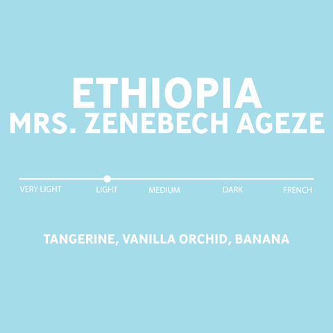 Ethiopia / Mrs. Zenebech Ageze