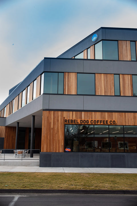 Morning to night, Rebel Dog Coffee Co. provides fuel at new East Hartford location
