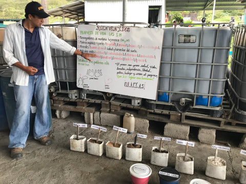 Honduras / Café Orgánico Marcala Sociedad Anónima (COMSA)