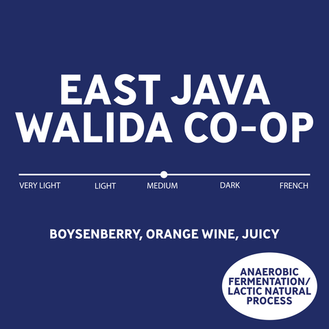 East Java / Walida Cooperative