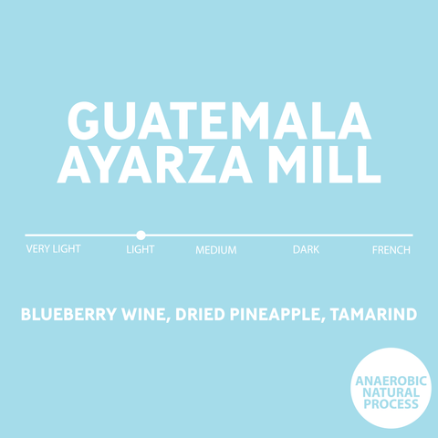 Guatemala / Blue Ayarza