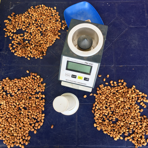 Producers must regularly take stock of moisture content, sugar levels, and other variables to produce the ideal result in the final processed beans.